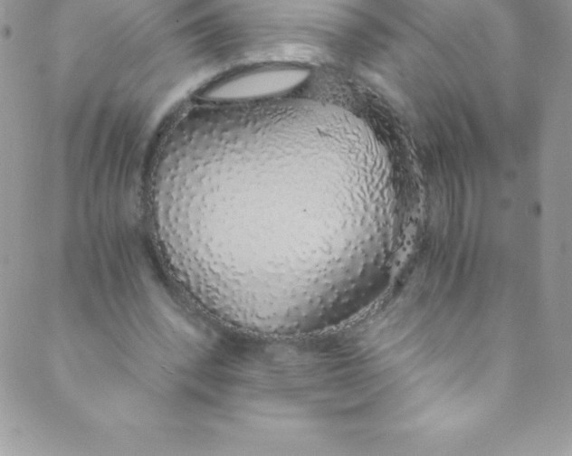 X0000088840392200707051453