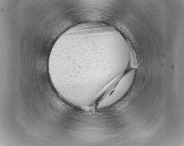 X0000088840393200707051453