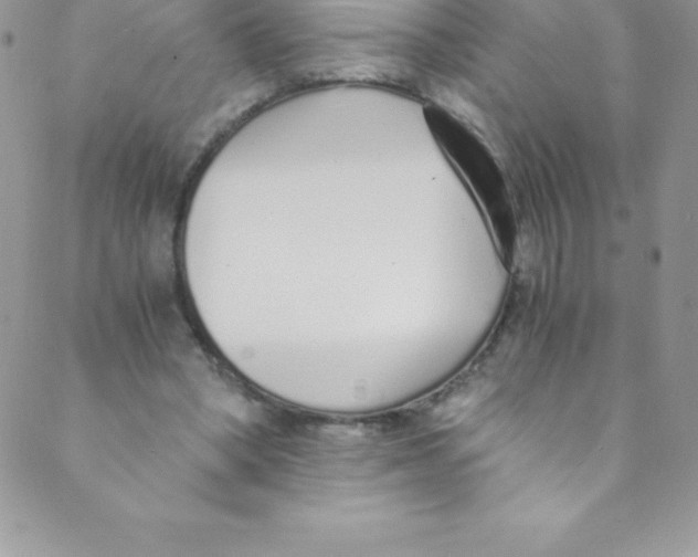 X0000088840394200707051453