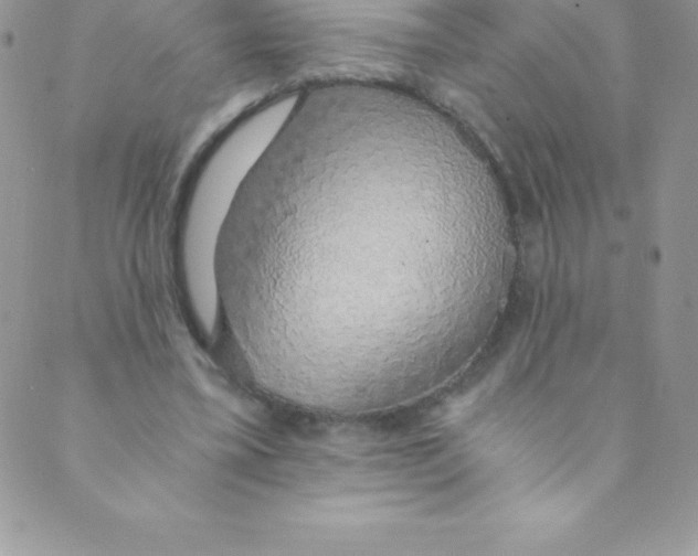 X0000088840395200707051453