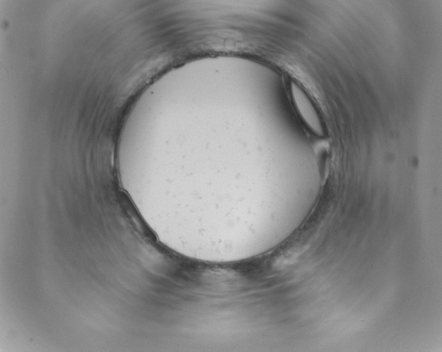 X0000088840397200707051453