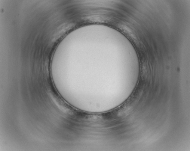 X0000088840398200707051453