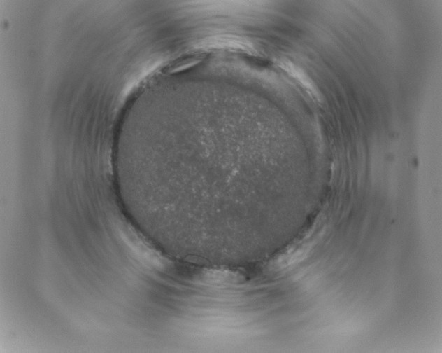 X0000088840399200707051453