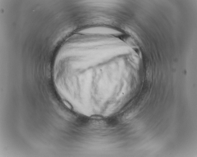 X0000088840403200707051452