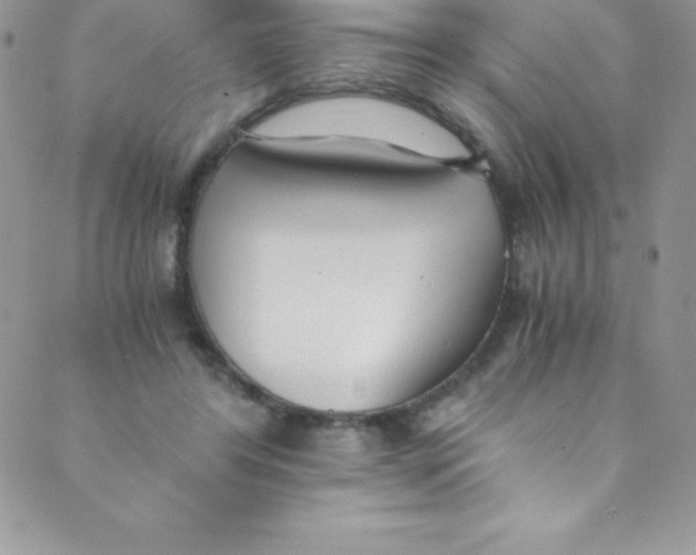 X0000088840404200707051452