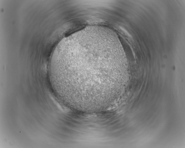 X0000088840405200707051452