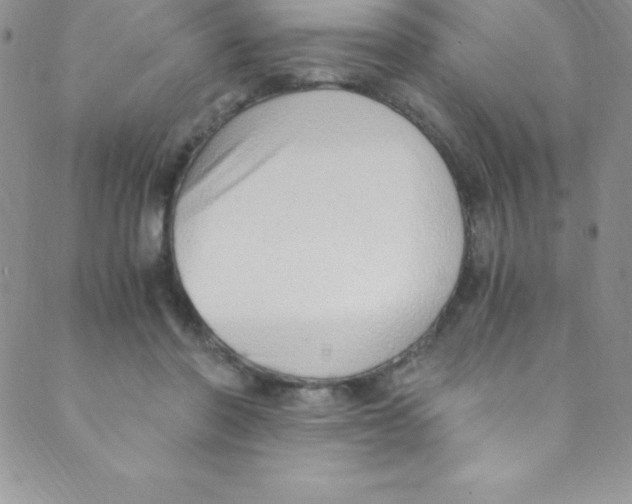 X0000088840406200707051452