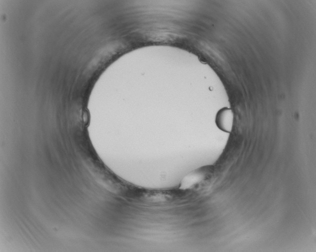 X0000088840407200707051452