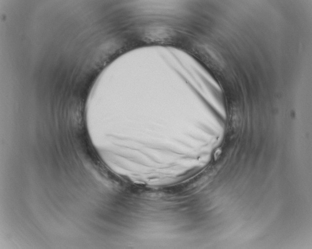 X0000088840408200707051452