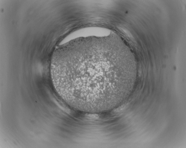 X0000088840409200707051452