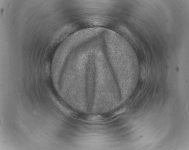 X0000088840410200707051452