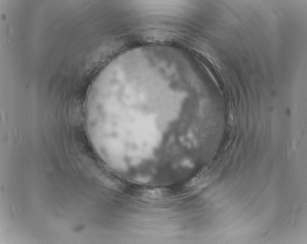 X0000088840411200707051452