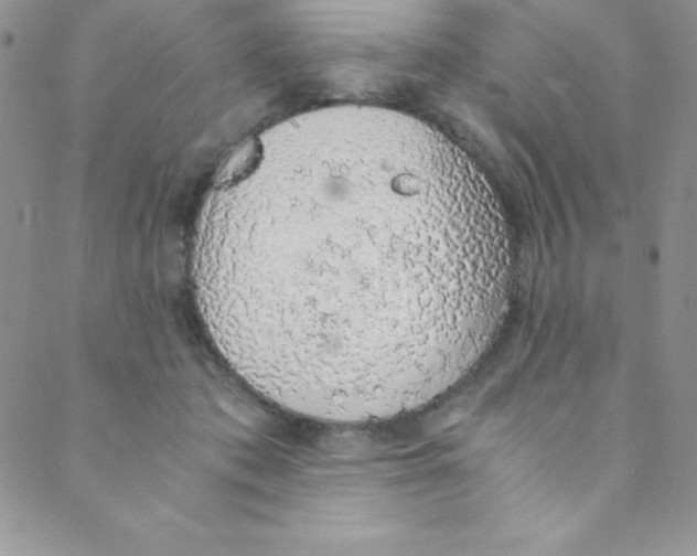 X0000088840413200707051452