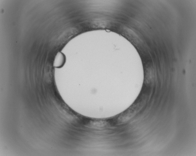 X0000088840414200707051452