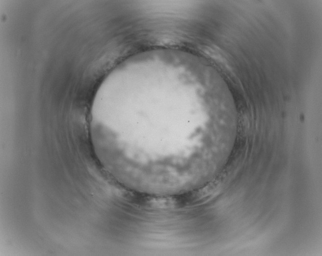 X0000088840415200707051452