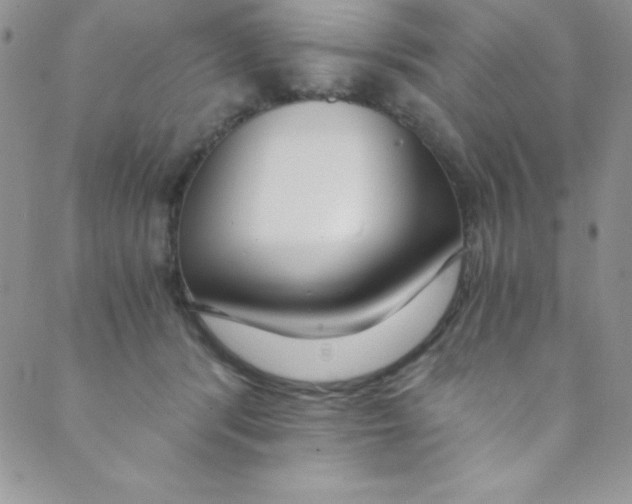 X0000088840416200707051452