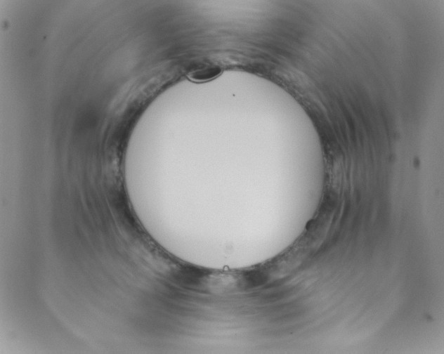 X0000088840418200707051452