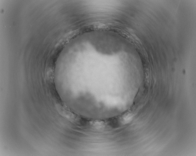 X0000088840419200707051452