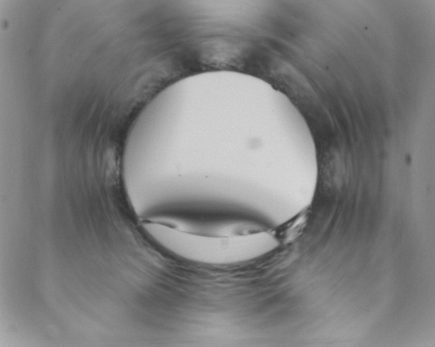 X0000088840420200707051452