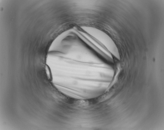 X0000088840421200707051452