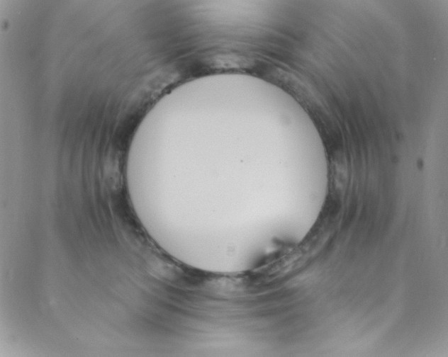 X0000088840422200707051452