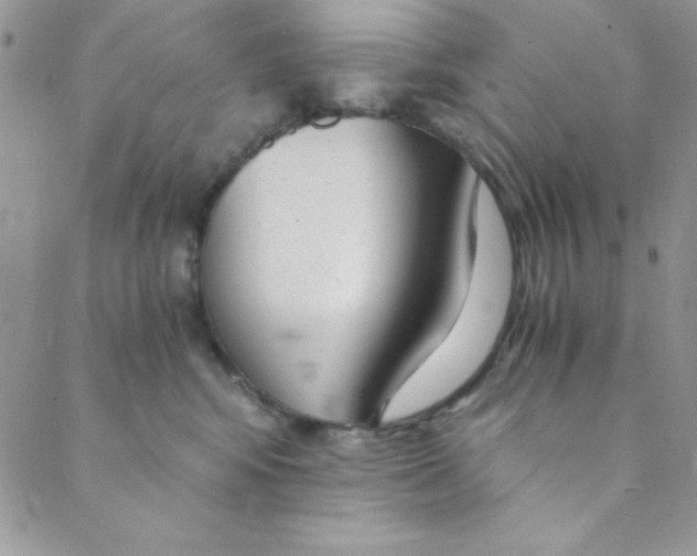 X0000088840424200707051452