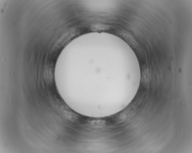 X0000088840426200707051452