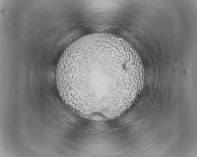 X0000088840427200707051452