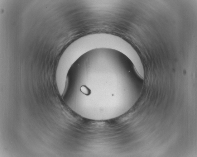 X0000088840428200707051452