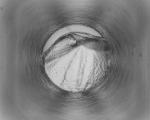 X0000088840429200707051452