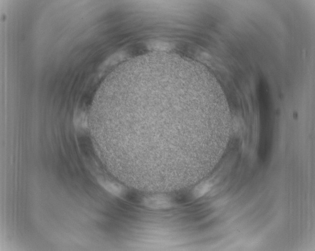 X0000088840431200707051452