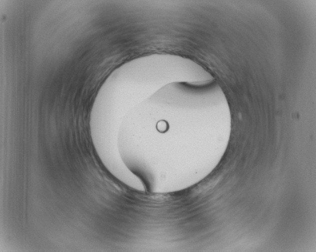 X0000088840432200707051452