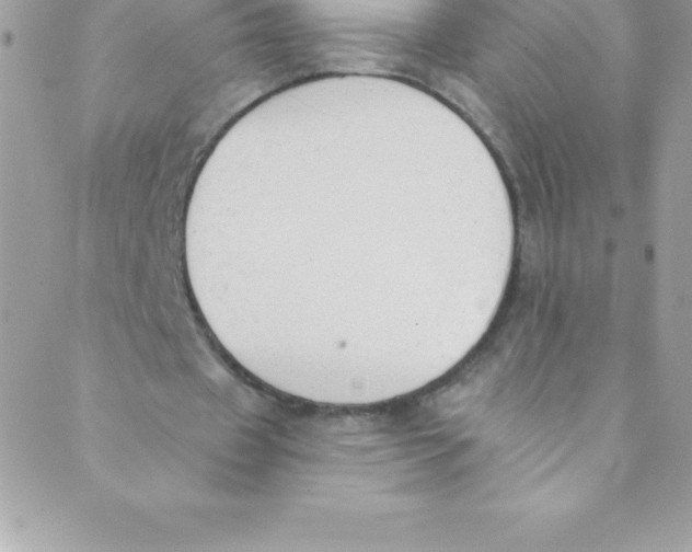 X0000088840433200707051451