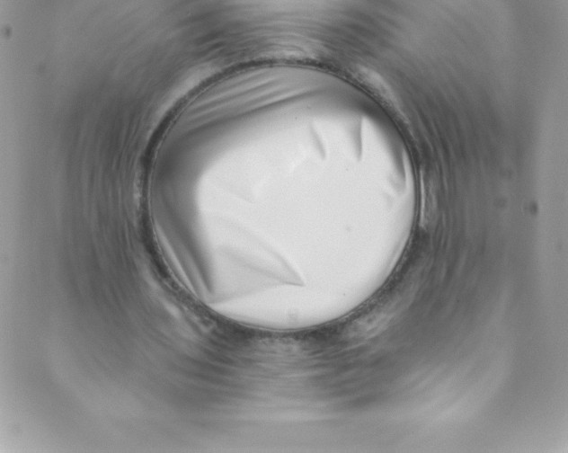 X0000088840435200707051451