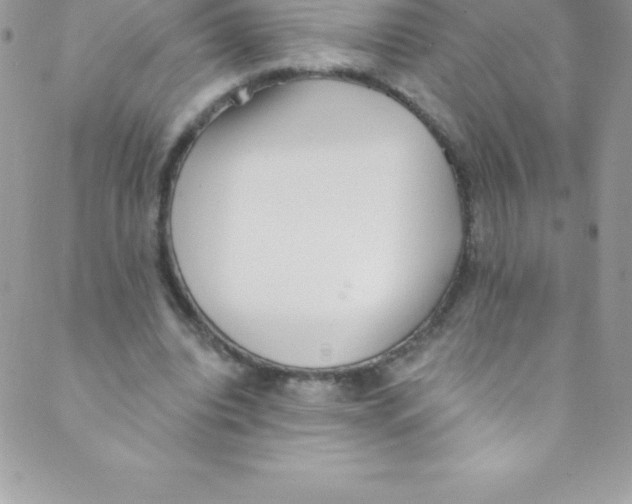 X0000088840440200707051451