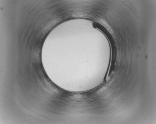 X0000088840441200707051451