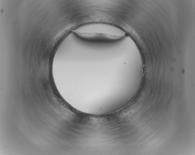 X0000088840442200707051451