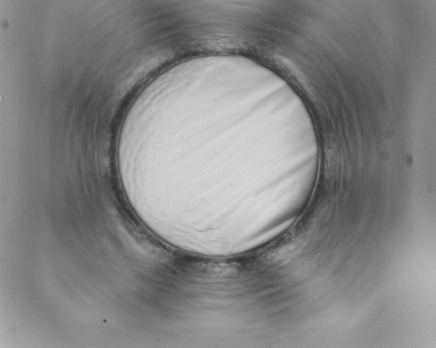 X0000088840443200707051451