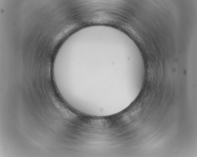 X0000088840446200707051451