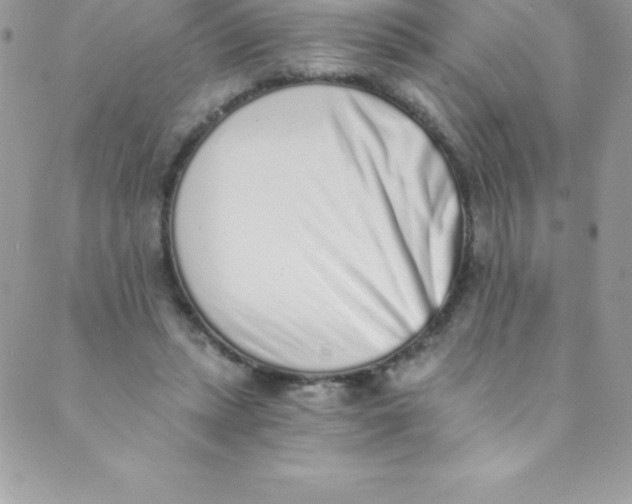 X0000088840447200707051451