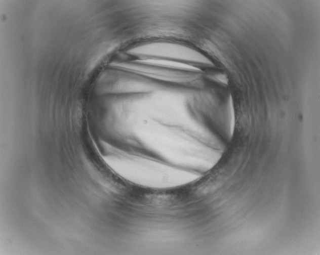 X0000088840448200707051451