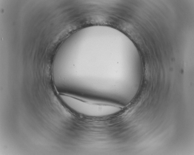 X0000088840449200707051451