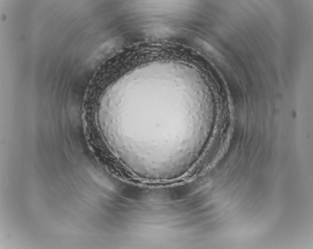 X0000088840452200707051452