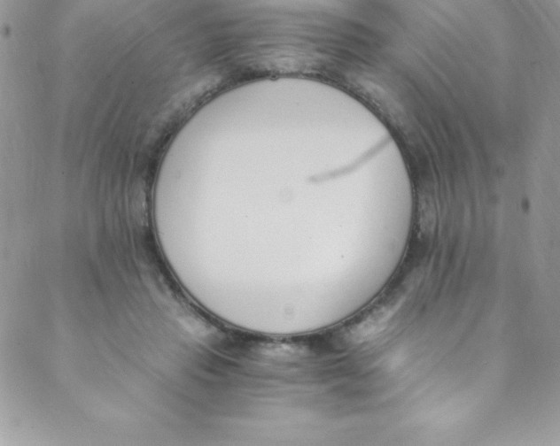 X0000088840453200707051452