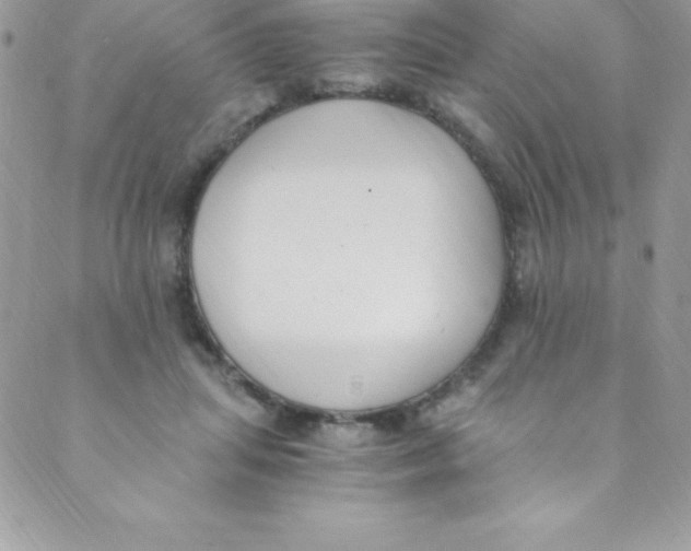 X0000088840455200707051452