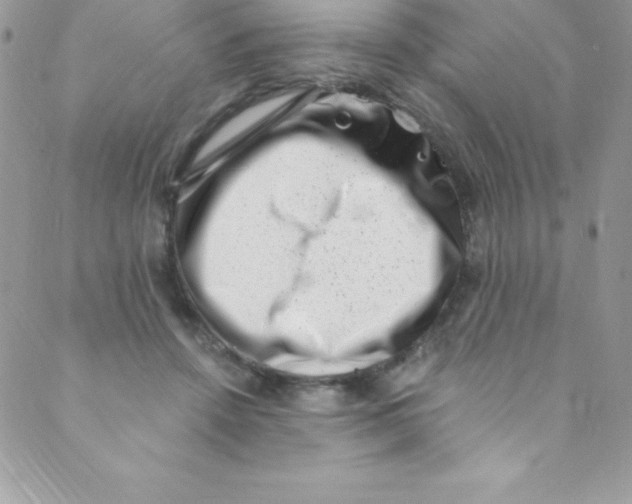 X0000088840456200707051452