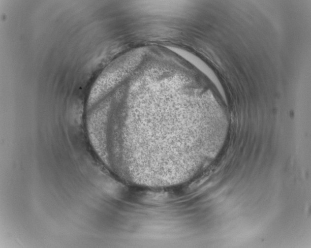 X0000088840458200707051452