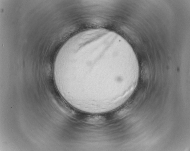 X0000088840459200707051452