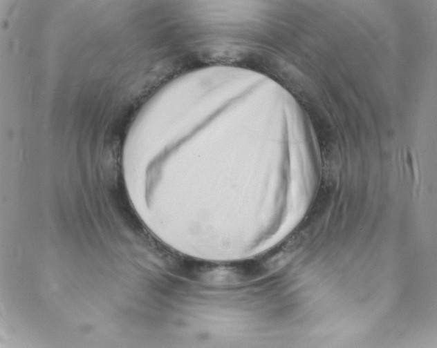 X0000088840460200707051452