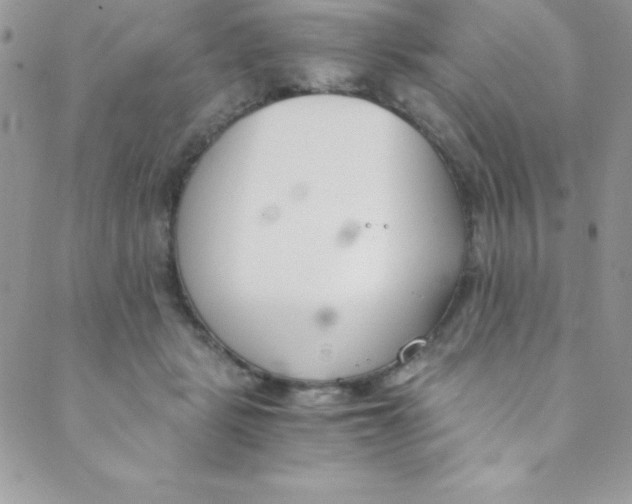 X0000088840461200707051452